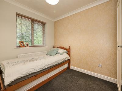 Picture 13